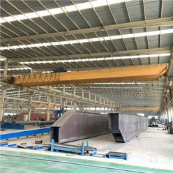 20t Wireless Control Double Girder Travelling Roof Crane