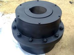 Curved Tooth Coupling For Crane Use